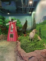 -酷嗒动物文化乐园(cutezoo西溪乐天城店)