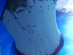 -顺德南宏海立方海洋公园