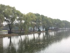 -阮氏酒家(柯桥店)