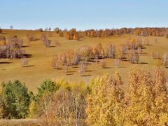 -塞罕坝国家级自然保护区