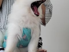 -怪兽屋·羊驼·猫咖·狗咖(俊华广场店)