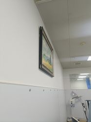 -温州伯思立医院