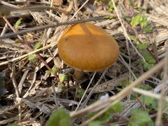 -汉长安城未央宫国家考古遗址公园