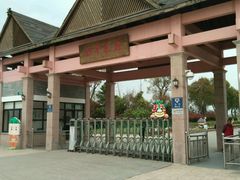 -上海都市菜园