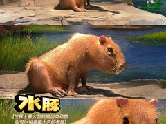 -正佳雨林生态植物园