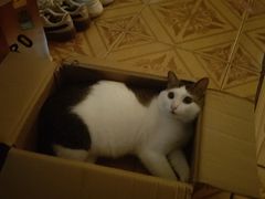 -深圳野生动物园