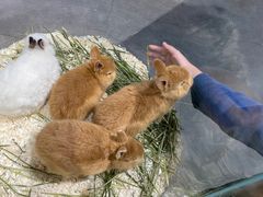 -龙猫仔乐园(惠福东路店)