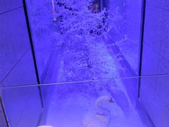 -营信刘罗锅铁锅炖(建华店)