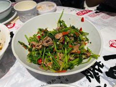 -壹盏灯(惠农店)