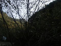 -少华山国家森林公园