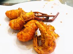 罗氏虾-猪肉婆私房菜(容桂总店)