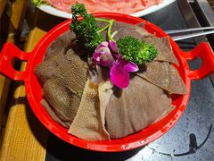 水牛毛肚-蜀江龙火锅(339店)