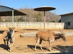 -南京金牛湖风景区