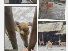 -金沙遗址博物馆