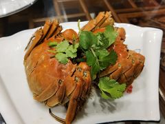 -呼吸森林·生态农庄农家乐私房菜