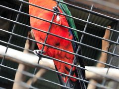 -费瑟代尔野生动物园