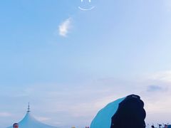 -碧海金沙