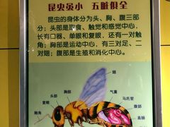 -上海昆虫博物馆