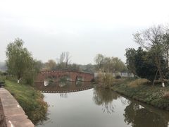 -白鹭湾湿地公园