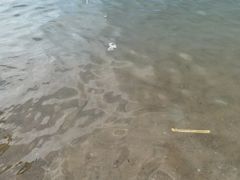 -那香海钻石沙滩浴场