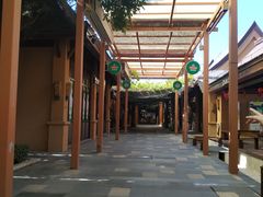 -亚马逊丛林水乐园