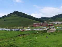 -关山草原