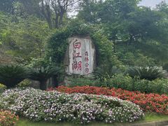 -广州白江湖森林公园