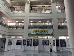 -合肥市图书馆