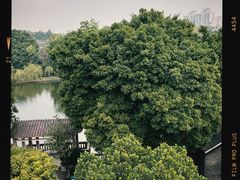 -东莞市可园博物馆