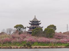 -上海海湾国家森林公园