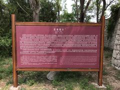 -原山国家森林公园