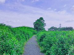 -良渚古城遗址公园