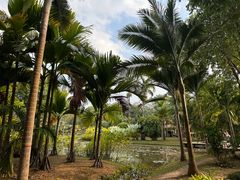 -中国科学院西双版纳热带植物园