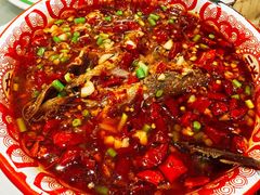 -欧记大排档·景德菜(上海首店)