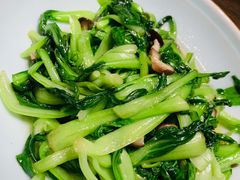 ws香菇鸡毛菜-辛香汇(宝乐汇店)