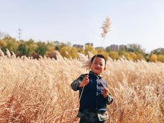 -绿堤公园