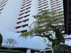 -新加坡泛太平洋酒店