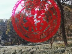 -野蔓果·山野菜(西湖景区·龙井茶田店)