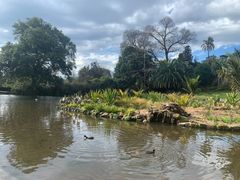 -墨尔本皇家植物园