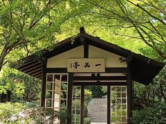 -中国茶叶博物馆(双峰馆区)
