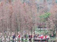 -重庆彩云湖湿地公园