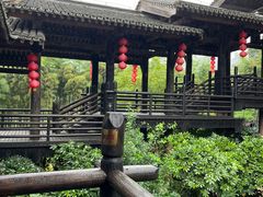 -大唐贡茶院