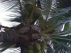 -越海渔村