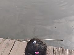 -前关湿地公园