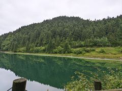 -武陵山森林公园