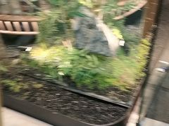 -绿茶餐厅(滨海万达广场店)