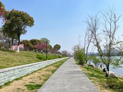 -羊山湖公园