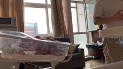 -复旦大学附属妇产科医院(杨浦院区)