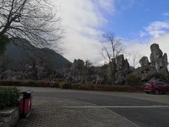 -千岛湖石林