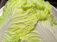 -南门四季铜锅涮肉(大屯·北苑店)